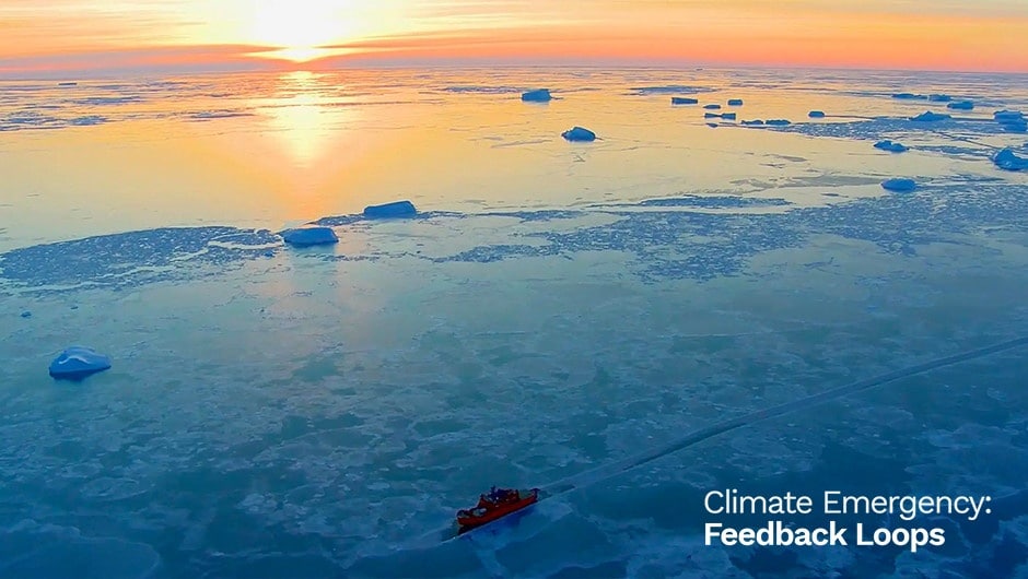 Climate Emergency Feedback Loops Watch Now Dceff