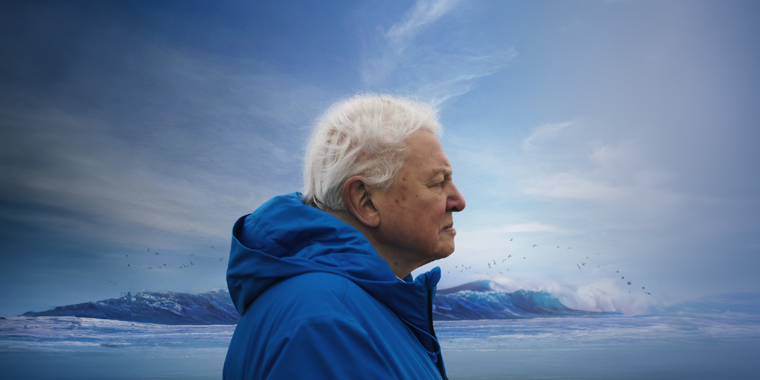 Attenborough Banner